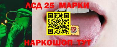 индика Гусев