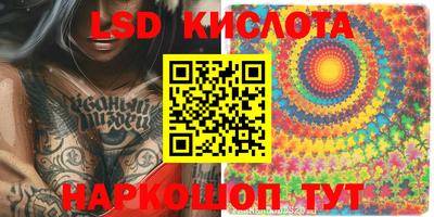 индика Гусев