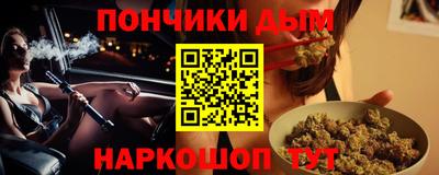 индика Гусев