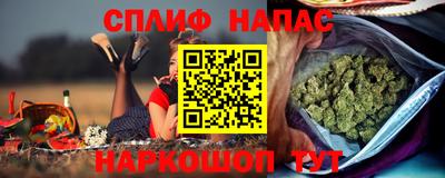 индика Гусев
