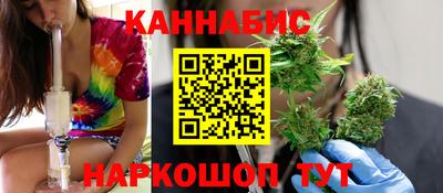 индика Гусев