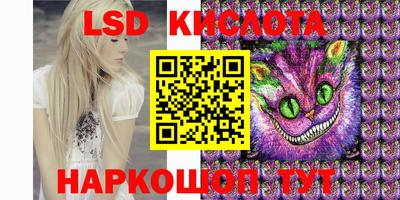 индика Гусев